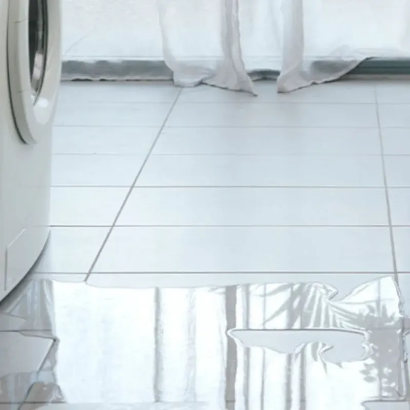 Appliance Leak Cleanup in Union City, IN