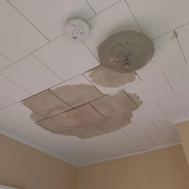 Ceiling Water Damage Repair in Union City, IN
