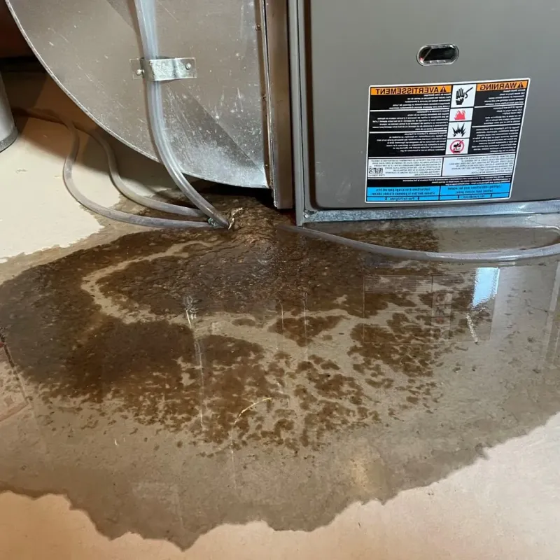 Pipe Burst and Leak Restoration in Union City, IN